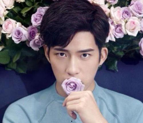 娱乐圈明星吃瓜最牛公众号,揭秘明星幕后那些事儿